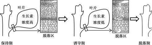 图片_x0020_100003