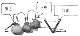 图片_x0020_100001
