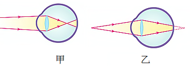图片_x0020_100004