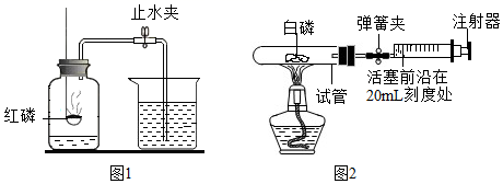 图片_x0020_100016