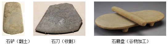 图片_x0020_100001