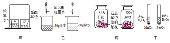 图片_x0020_100005