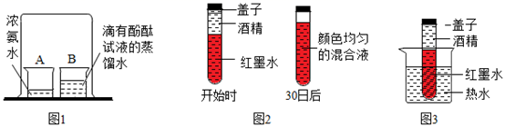 图片_x0020_1234384298