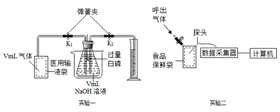 图片_x0020_100019