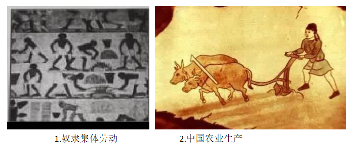 图片_x0020_100002