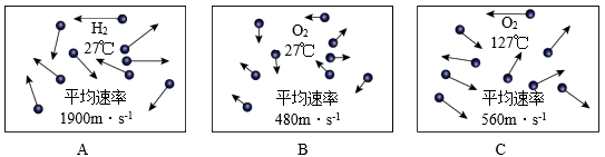 图片_x0020_1253804615