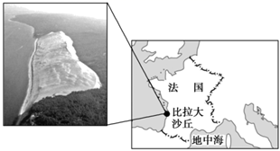 图片_x0020_100004