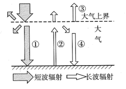图片_x0020_100003