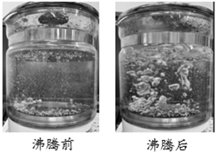 图片_x0020_100020
