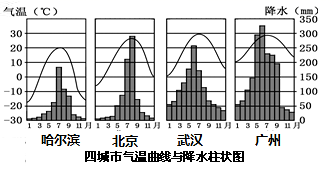 图片_x0020_100019