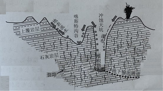 图片_x0020_100008