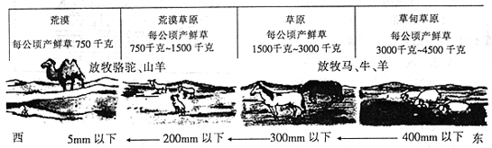 图片_x0020_100007