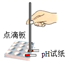 图片_x0020_100001