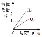 图片_x0020_2026524334