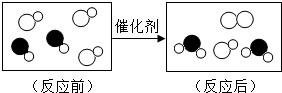 图片_x0020_100005