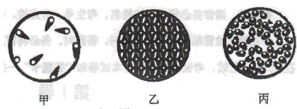 图片_x0020_699856250