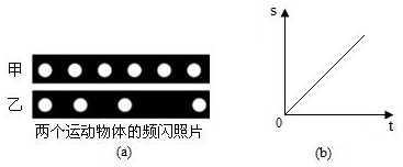 图片_x0020_1259023340