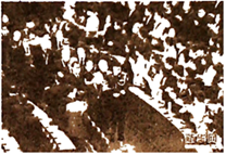 图片_x0020_100019