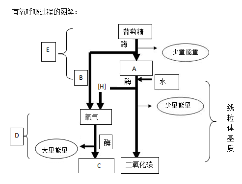 图片_x0020_100001