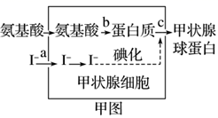 图片_x0020_100002