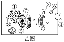 图片_x0020_100003