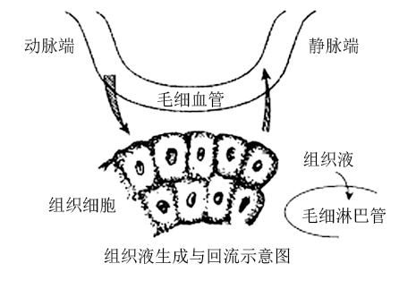 图片_x0020_100004
