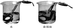 图片_x0020_100029