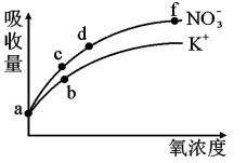 图片_x0020_100013