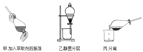 图片_x0020_100029