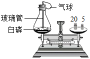 图片_x0020_100018