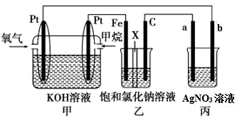 图片_x0020_2102918428