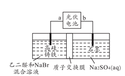 图片_x0020_100003