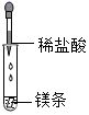 图片_x0020_100004
