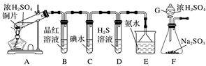 图片_x0020_100004