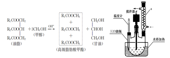图片_x0020_802359336
