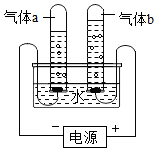 图片_x0020_520592029