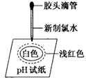 图片_x0020_100002