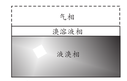 图片_x0020_100001