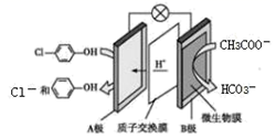 图片_x0020_2001300099