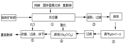 图片_x0020_1551737263