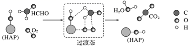 图片_x0020_1292515686