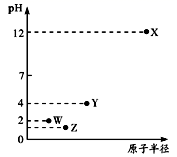 图片_x0020_1973008908