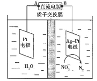 图片_x0020_411600535