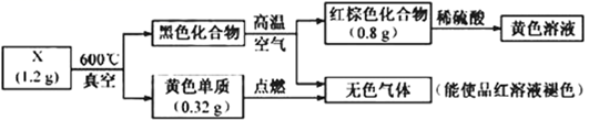 图片_x0020_1083920981