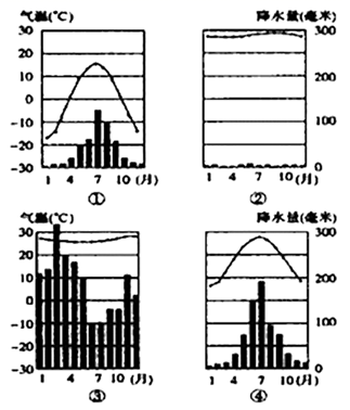 图片_x0020_100003