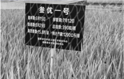 图片_x0020_100007