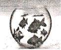 图片_x0020_100002