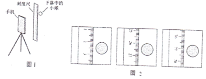图片_x0020_100023