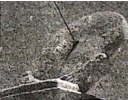 图片_x0020_100003