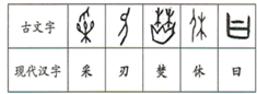 图片_x0020_100001